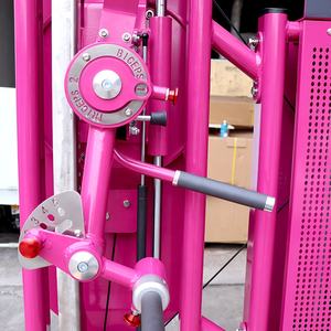 Kommerzielle Dual-Funktions-Bizeps-Trizeps-Fitnessmaschine für Ganzkörpertraining und Armtraining im Stehen - Product Image 3