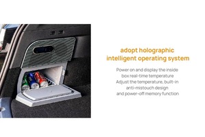15L congélateur pour Tesla modèle Y congélateur coffre sport Design Camping réfrigérateur <span class=keywords><strong>12V</strong></span> compresser plastique <span class=keywords><strong>12V</strong></span> Volta réfrigérateur - Product Image 5