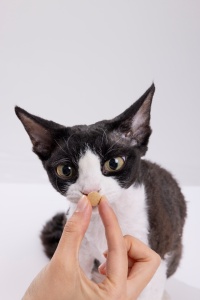 Lovidovi OEM Suplemento Diario para Gatos, Fórmula Neutralizante de Alergias para el Apoyo Digestivo y de la Piel, 180 Tabletas - Product Image 2