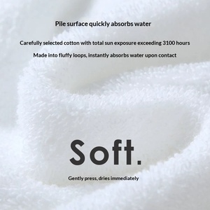Serviettes de bain d'hôtel cinq <span class=keywords><strong>étoile</strong></span>s, ultra-absorbantes, technologie anti-déchirure, usage domestique, haut de gamme, blanches, motif uni, pour salons de beauté, serviettes de <span class=keywords><strong>piscine</strong></span> - Product Image 2