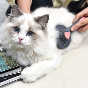 Cepillo para Mascotas de Acero Inoxidable Ecológico, Diseño Moderno, Autolimpieza con un Clic, para Perros y Gatos, para el Baño y el Aseo - Product Image 3