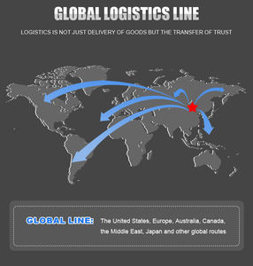 中国到巴基斯坦FCL低成本DDP公路运输，由代理商提供<span class=keywords><strong>LCL</strong></span>运输选项 - Product Image 6