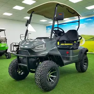 Pemasok Pabrik Baru Baterai Hemat Energi Dua Kursi Buddy Mobil Golf dengan Roda Aloi Aluminium