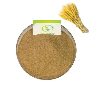 Haccp novo produto comestível grau alimentar, amostra livre de extrato de baria de grama fermentado extrato de baria