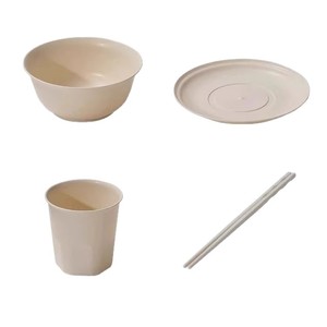 ชุดจานชามแบบใช้แล้วทิ้งสำหรับกิจกรรมกลางแจ้ง Explorers สำหรับปิกนิก บาร์บีคิว แคมป์ปิ้ง จาน ถ้วย ชาม ตะเกียบ 10 ชุด - Product Image 3