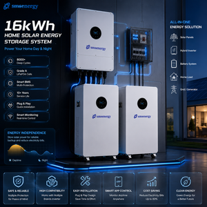 Batterie Lifepo4 Smsenergy IP65 51.2V 15.36kWh 15.36Ah 314Ah pour système solaire domestique et industriel, 6000+ cycles, BMS <span class=keywords><strong>de</strong></span> qualité industrielle, RS485 - Product Image 1