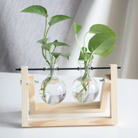 Terrarium en verre sur support en bois, vase à fleurs en verre, terrarium suspendu pour plantes