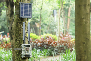 Caméra de <span class=keywords><strong>chasse</strong></span> sans fil Willfine 4G LTE avec transmission MMS/SMTP/FTP, 24MP 1080P, pour l'observation à distance des cerfs - Product Image 5
