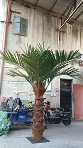 Pianta di Palma Realistica 6m per Decorazione Interna di Banche, Sale d'Attesa e Aree Servizio Clienti - Product Image 6