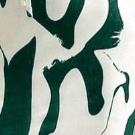 Z701DS01 สีเขียว