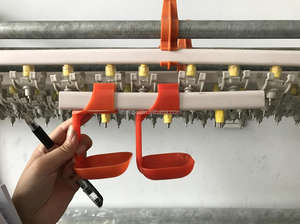 Jaulas para Gallinas Ponedoras <span class=keywords><strong>Tipo</strong></span> A, Jaulas para Aves de Corral, Jaulas Automáticas para Gallinas y Conejos - Product Image 6