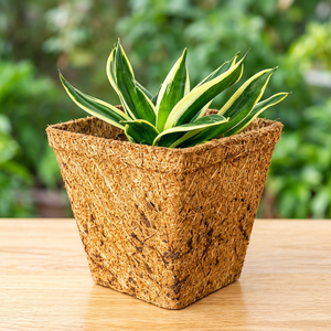 Pot de fleurs carré en fibre de coco, biodégradable, écologique, pour plantes vertes, utilisation sur bureau, style moderne, non enduit - Product Image 1
