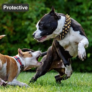 NiBao <span class=keywords><strong>Collar</strong></span> de perro de cuero PU con pinchos Ancho ajustable duradero para razas pequeñas, medianas y grandes - Product Image 5