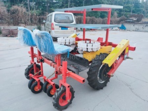 Transplanteur de <span class=keywords><strong>semis</strong></span> à double rangée entraîné par tracteur pour serres (poivrons, tomates, tabac) - Product Image 2