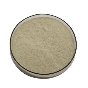 drilling mud additive light yellow powder Xanthan Gum biopolymer for oil field well drilling auxiliary