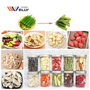 Máquina de Liofilización de Fácil Operación para Productos Liofilizados de Okra, Berenjena y Champiñones - Product Image 6