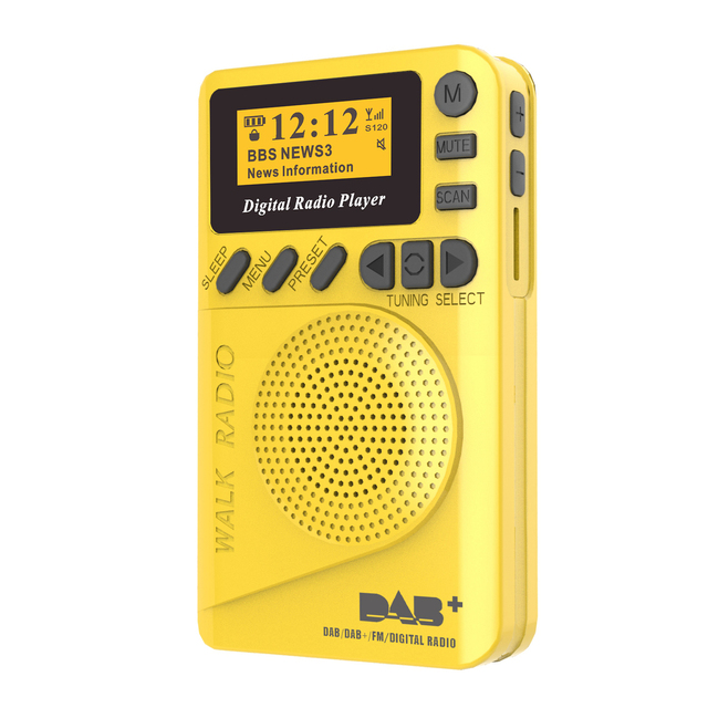 Portable DAB/DAB+ FM Radios Multifunctional 2.4-inch LCD Display Digital Radio SD Card Mp3 Player 10 Stations Presetting