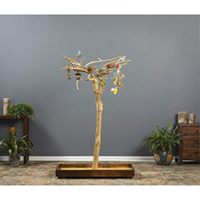 Perchoir pour oiseaux en bois de café écologique, support artisanal pour perroquets pour le jeu, l'entraînement et l'exposition, accessoires pour animaux de compagnie, fournitures pour animaux de compagnie en gros