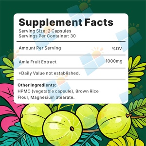 Cápsulas de Extracto de Fruta de Amla (Grosella de India) 60 Unidades, Vitamina C, Antioxidante, Bienestar Diario, Apoyo para la Piel, Fabricante de Marca Personalizada - Product Image 2