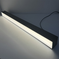 Lumière linéaire LED suspendue à diffuseur prismatique blanc réglable UGR<19 avec boîtier en aluminium noir mat