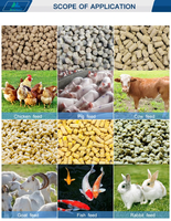 Machine à granulés manuelle compacte pour l'alimentation des volailles et du bétail, idéale pour les exploitations agricoles