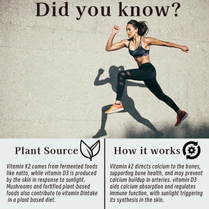 Capsules de vitamines de qualité supérieure Suppléments à base de plantes adaptés aux femmes et aux hommes Soutient la minéralisation osseuse Capsules de multivitamines - Product Image 5