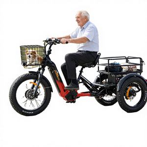 Triciclo de Carga para Mascotas de Alta Calidad con Cesta Grande, Triciclo Eléctrico Familiar de Tres Ruedas, Bicicleta Eléctrica de Carga - Product Image 1