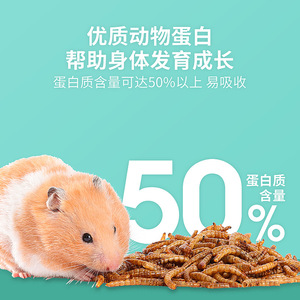 <b>Dried</b> <b>Mealworms</b> 4L Plastic Container For Hamsters Reusable Small Animal Feeder - Product Image 5
