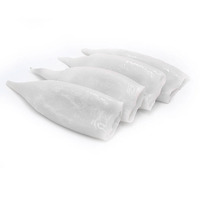 Tubes de calmar Loligo congelés U5/U7/U10 Illex, traités BQF, lavés à la machine, qualité A+, provenant de la pêche au chalut, en vrac pour l'exportation