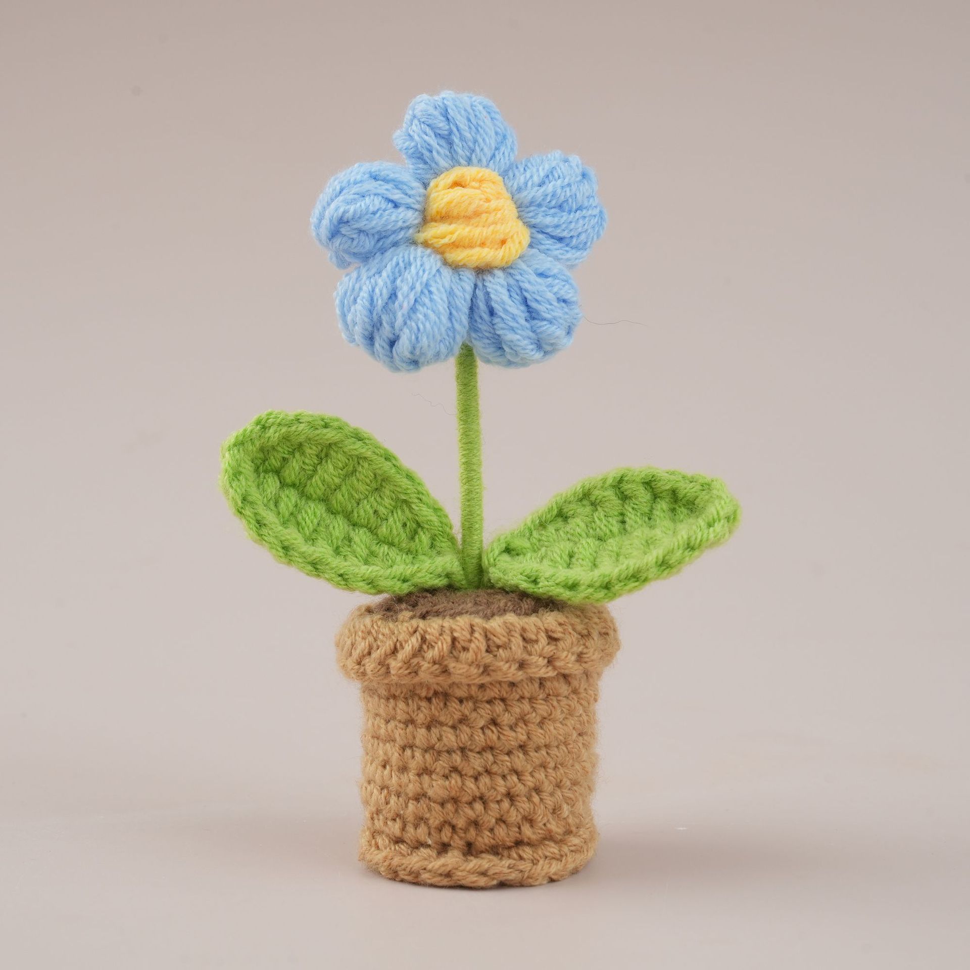 Little puff blue potted plant