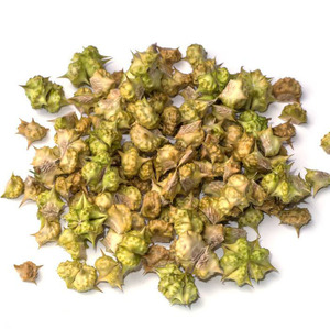 Planta del extracto <span class=keywords><strong>tribulus</strong></span> terrestri Extracto de <span class=keywords><strong>95</strong></span> <span class=keywords><strong>tribulus</strong></span> <span class=keywords><strong>terrestris</strong></span> <span class=keywords><strong>95</strong></span> <span class=keywords><strong>saponinas</strong></span> <span class=keywords><strong>tribulus</strong></span> <span class=keywords><strong>terrestris</strong></span> en polvo - Product Image 2