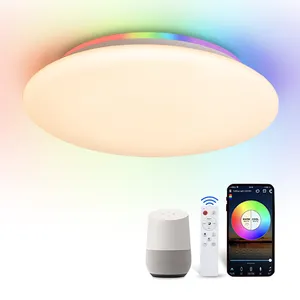 Hoge Kwaliteit Slimme Verlichting Groothandel 28W 300Mm Dimbare Cct Rgb Smart Led Plafondlamp Met App Wifi Voice afstandsbediening