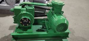 Pompa rotativa della benzina della paletta, pompa dell'olio diesel del Blackmer - Product Image 3