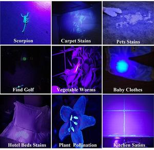 Détecteur de faux billets par laser 395NM ultraviolet, détecteur d'urine de chien, identification de scorpion, lampe torche UV 100 LED - Product Image 6