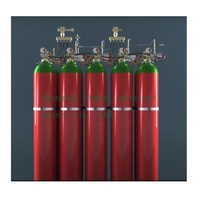 Bouteille de gaz en acier de 140 L 300 bar pour gaz inerte CO2 Extincteur Système de suppression d'incendie