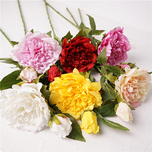 BF-PY03 <span class=keywords><strong>Bloom</strong></span> Floral, pivoines artificielles de haute qualité à 2 têtes, toucher réaliste, grande tête, latex, faux pivoine blanche et rose pour la décoration - Product Image 1