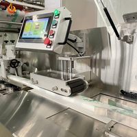Máquina Portátil Mini para Hacer Toallitas Húmedas, 25 Unidades, Máquina Empacadora de Toallitas Húmedas Desechables en Bolsas Pequeñas