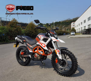 <span class=keywords><strong>Moto</strong></span> pour adultes Enduro Cross Mororbike <span class=keywords><strong>250cc</strong></span> <span class=keywords><strong>Trail</strong></span> Ninja, FUEGO POWER TEKKEN - Product Image 1