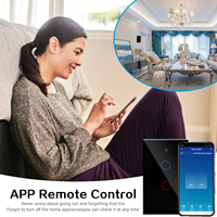 AU US 1/2/3/4 Gang Metal Frame Tuya App Alexa Google Mobile Control Wifi Wall Smart Switch avec rainure Smart Wifi Switch