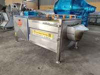 Machine à laver automatique à rouleaux brosse, lave-légumes, éplucheuse, équipement de nettoyage des légumes racine en acier inoxydable