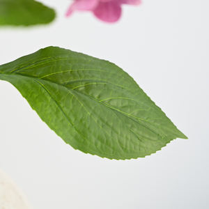 Hydrangeas artificiels de haute qualité en gros, toucher réel, latex, grande tête, vert et blanc, <span class=keywords><strong>Hortensia</strong></span> pour la décoration intérieure et les mariages - Product Image 4