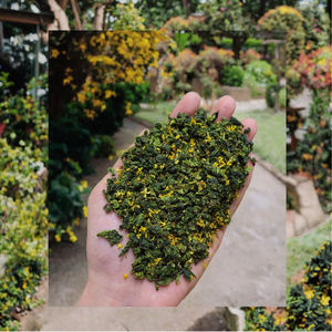 ชาอูหลงจีน 100 กรัม บรรจุถุง ชาใบหลวมกลิ่นหอมดอกหอมหมื่นลี้ ชาเพื่อสุขภาพธรรมชาติ รับผลิตแบรนด์ส่วนตัว ขายส่งจำนวนมาก ผลิตในจีน มณฑลฝูเจี้ยน - Product Image 3