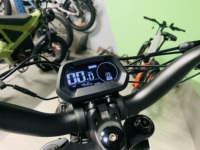 Vélo Électrique Tout-Terrain en Alliage d'Aluminium 2024 - Écran LCD, Rétroviseurs Intégrés, Feux Avant et Arrière, 48V - Ventes Flash