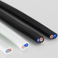 Cable Eléctrico de 2 Núcleos 2x0.75/1/1.5/2.5/4/6mm2 RVVB H03Vvh2-F Plano de PVC Flexible con Aislamiento de Cobre y Conductor Sólido