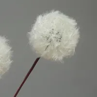 Bouquet de fleurs artificielles en pissenlits blancs, fleurs artificielles, décoration de la maison, accessoires de photographie florale pour fête