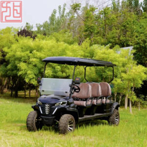 Carrito de golf profesional de 6 plazas Colores exteriores personalizables Combustible eléctrico de 48V Múltiples funciones para varias ocasiones - Product Image 6