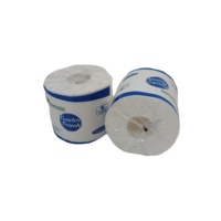 Vente en gros de papier toilette en pâte de bois vierge en rouleau de couleur naturelle standard de l'usine chinoise pour les salles de lavage