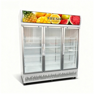 Réfrigérateur Vitrine à Porte Simple en Verre, Refroidissement Direct Électrique, Armoire Réfrigérée pour Boissons, Utilisation Extérieure, Camping-Car, Maison - Product Image 5