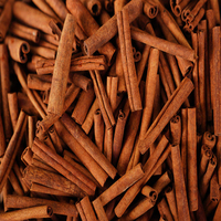 Bâton de cannelle casse poudre de cannelle séchée masse de Cassia au meilleur prix