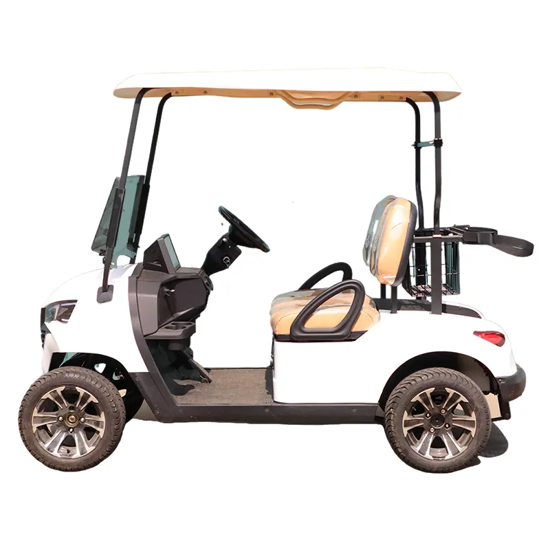 EG fabricante de fábrica al por mayor importación personalizada mini carritos de golf precio 48V plazas 2 batería de litio carrito de golf eléctrico para la venta